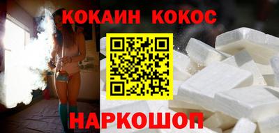 сатива Гай