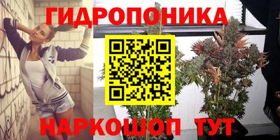 эйфоретик Гатчина