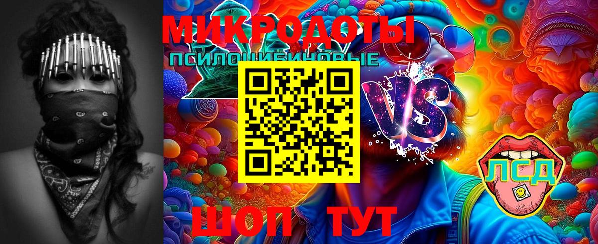 Псилоцибиновые грибы GOLDEN TEACHER Новозыбков