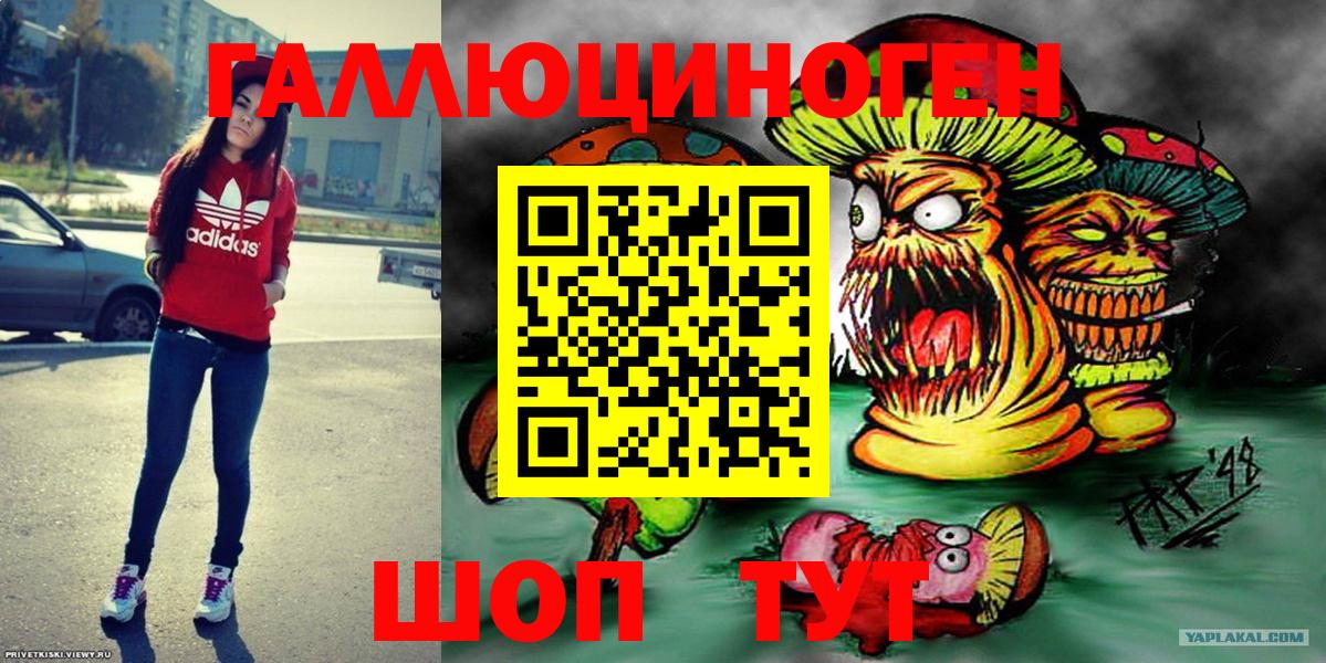 Псилоцибиновые грибы Magic Shrooms  Вход с VPN  Новозыбков  Галлюциногенные грибы Magic Shrooms 